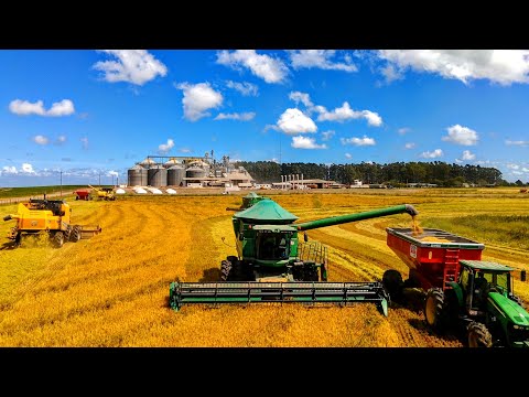 "When Rice Harvest Becomes an Extreme Challenge: Jams and Adrenaline with JohnDeere, case study