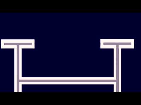 Quercy D 2016 gelding (Stakkato Gold x Chambertin) 5 yo YH compétition Azelhof janvier 2021