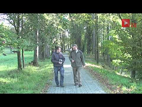 Poręba Wielka. Straty byłyby większe gdyby nie szybka interwencja