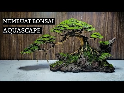 Step by step CARA MEMBUAT BONSAI AQUASCAPE | tank ukuran 60 cm