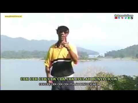 Cikgu Naim - Cicak | Lirik & Subtitle Dikir