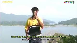 Download lagu Cikgu Naim - Cicak | Lirik & Subtitle Dikir mp3