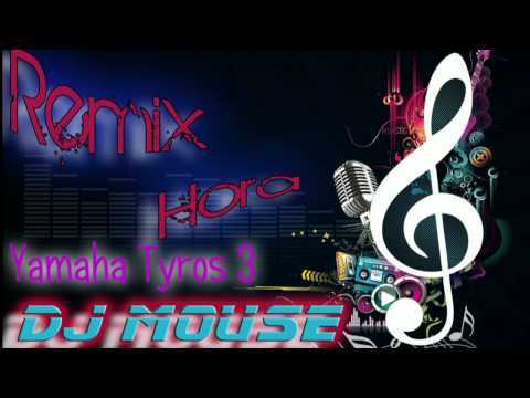 DJ Mouse - RemiX Hora Tyros 3