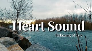 Sounds of birds in the wild.