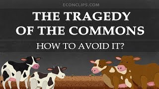 🐄 The Tragedy of the Commons | How to Avoid It?
