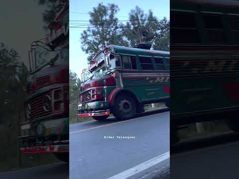 Lila de occidente las bellezas de san marcos tejutla y san miguel y sipacapa #sanmarcos #guatemala