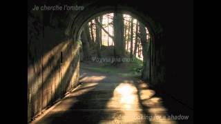 Celine Dion - Je Cherche L&#39;Ombe - Translated with Lyrics