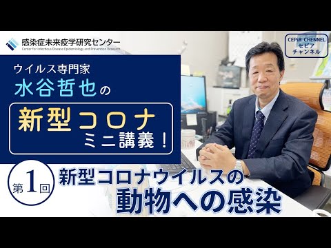 コロナ休暇:動物研究のチャンス