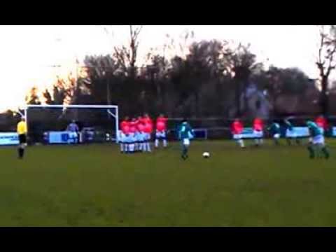 Vrije trap Dennis. Vogelwaarde - Patrijzen