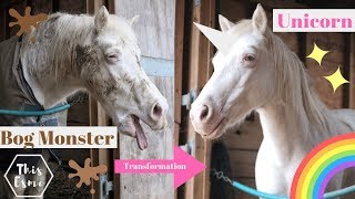 Bog Monster to Unicorn Transformation! | Pony pamper and Skin Care routine against Mud | This Esme