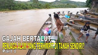 Download lagu GAJAH BERTALUT, PENJAGA ALAM YANG TERHIMPIT DI TANAH SENDIRI? |  INDONESIAKU (26/05/26) Part 1 mp3
