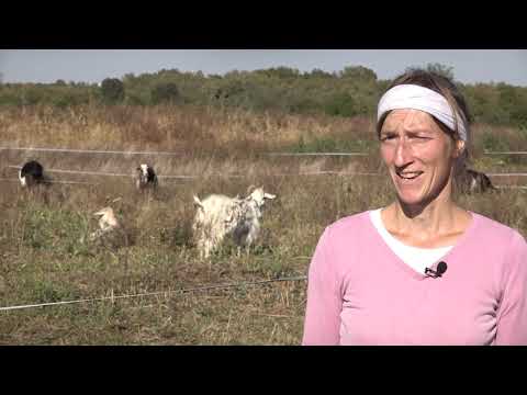 Agro karavan ep. 47 Vladimirci 14.10.2018.