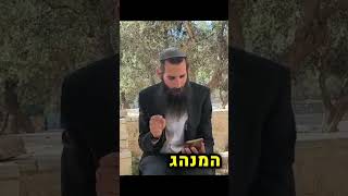 האם יהודים עלו להר בתקופת הגלות? (ישיבת הר הבית) - התמונה מוצגת ישירות מתוך אתר האינטרנט יוטיוב. זכויות היוצרים בתמונה שייכות ליוצרה. קישור קרדיט למקור התוכן נמצא בתוך דף הסרטון