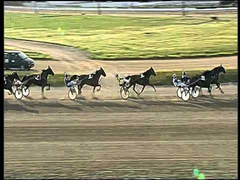 Trotto 21/05/2015 - 8° corsa