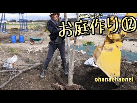 ウィンターガーデン: 自然を家の空間に招き入れましょう!  庭園