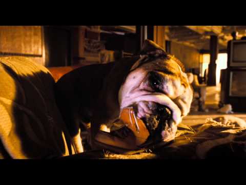 Vorschaubild für Das Hundehotel Trailer