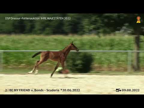 KN 2: Hengstfohlen v. Bonds - Scuderia