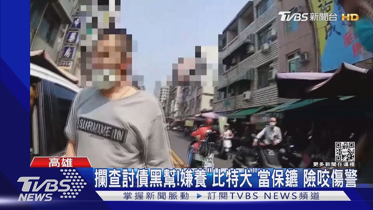 攔查討債黑幫！嫌犯養「比特犬」當保鑣　差點咬傷警