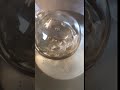 IMG 81601