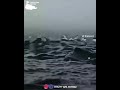Whatsapp Status புல்லாங்குழலே பூங்குழலே Pullangulale Poo