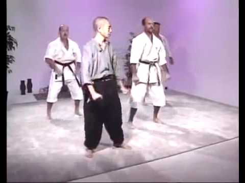 Goju Ryu Karate Techniques