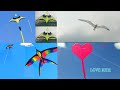 How To Make Kite 4 Type Kite Making And Flying My All Trending Kite Videos Bird Kite And Delta Kite