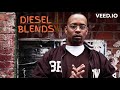 Sadat X Brand Nubian Punks Jump Up To Get Beat Down Ft Tracey Lee The Theme Remix