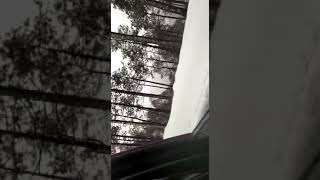 preview picture of video 'Snow Fall at Manila #Almora #(Uttarakhand)   .Gaurav Basnal'
