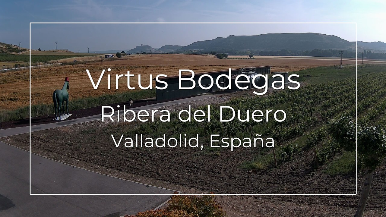 Live webcam view of Viñedos de Bodegas Virtus