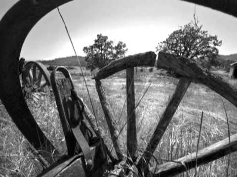 Conservation Stories - Interview with Dodie Gann