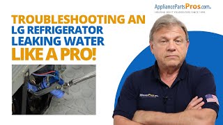 Water Everywhere: What's Causing Your LG Fridge to Leak?