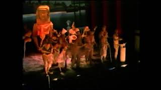 Nos quedamos de piedra – Primera Semifinal – COAC 1989