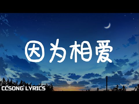 因为相爱 Because of Love - 都智文 Baby.J『电视剧 只是结婚的关系 Once We Get Married OST』