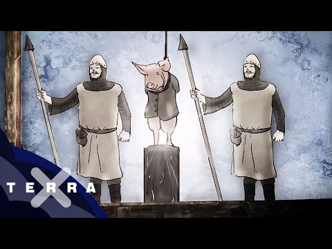 Tiere vor Gericht | Verrückte Geschichte | Terra X