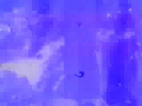 UNREST 'Isabel' video (Teenbeat/4AD) 1993