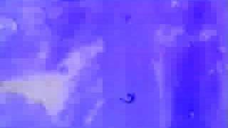UNREST 'Isabel' video (Teenbeat/4AD) 1993