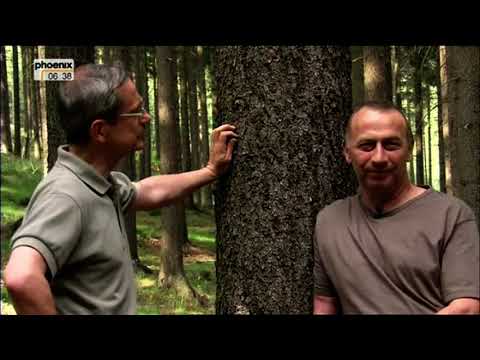 Ostberlin, DDR, 1969: Das teuerste Flugblatt der Welt