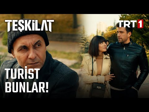 Serdar Ve Zehra Takip Ediliyor! - Teşkilat 20. Bölüm