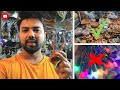 DONT BUY CHINESE ITEMS IN DIWALI 2021 ILOCAL IS VOCAL I SAGARPUR I HANDCRAFT I DHEERAJ THAKUR