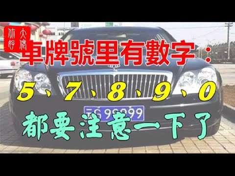 車牌尾數5