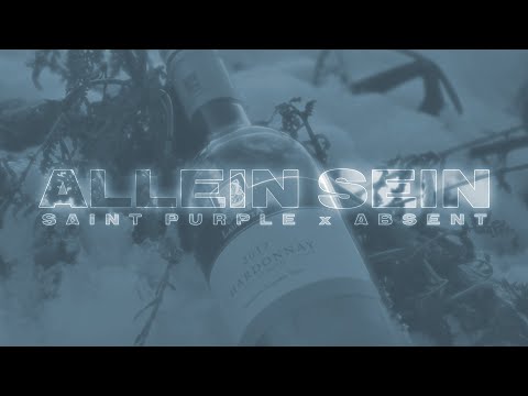 Saint Purple x absent - Allein Sein (Official Video)