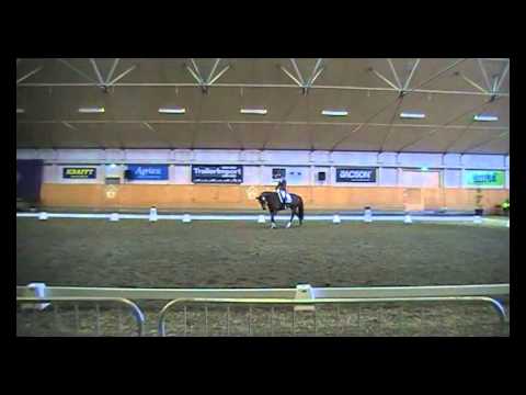 DeLine Breeders Trophy Final 2010