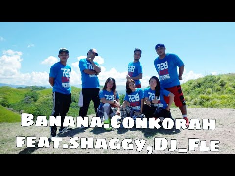 BANANA(feat.shaggy)Dj Fle miniserin remix../728 Fam/Pmadia NV#tiktok
