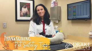 Thanksgiving Pet Safety Tips