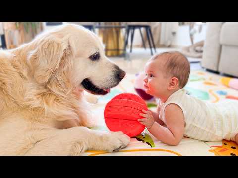 YouTube 썸네일