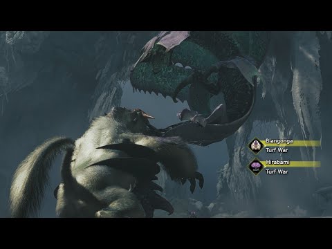 New Blangonga Vs Hirabami Turf War - Monster Hunter Wilds