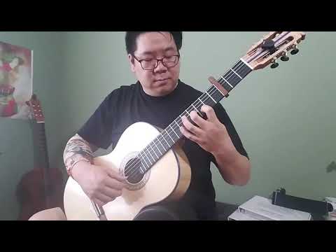 D02-10 *Lute Tuning* Anonyme Dos Palomas