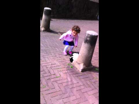 nesrin kediyi seviyor