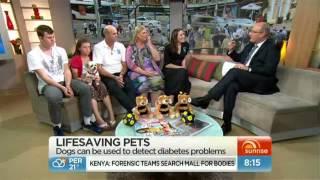260913 Ch 7 Sunrise interview with Michelle Norman and de Wal family