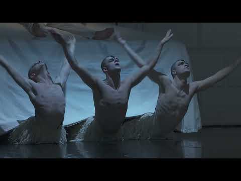 2x Tickets for Swan Lake - Image 2